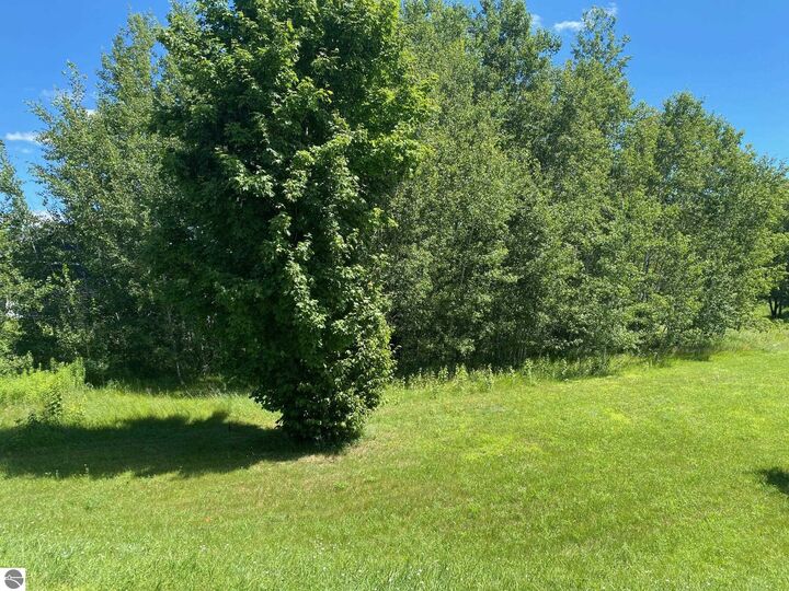 Property Photo:  846 Shamrock Lane  MI 49696 