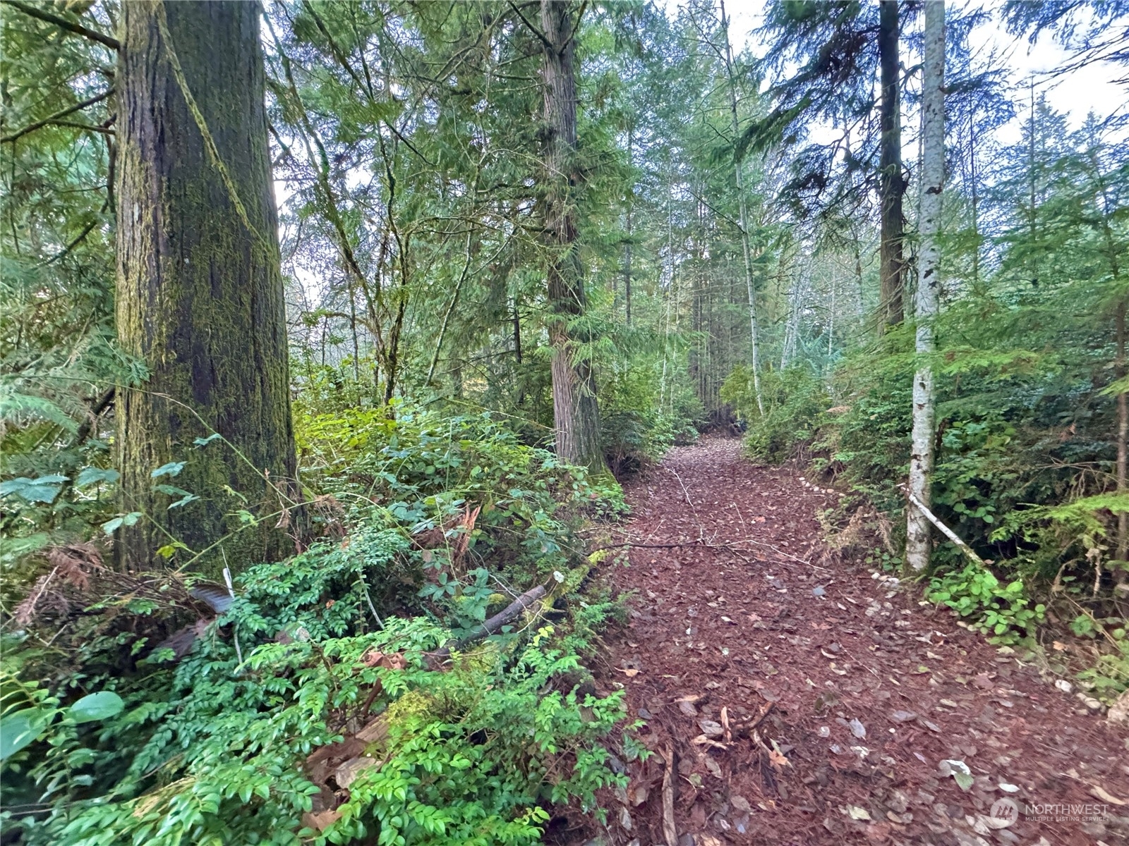 Property Photo:  8920 NW Holly Road  WA 98312 