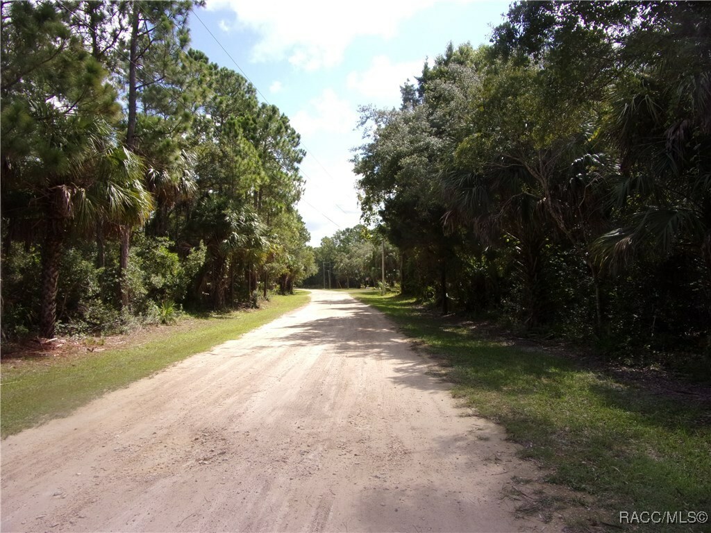 Property Photo: 0 Azalee Avenue FL 34449