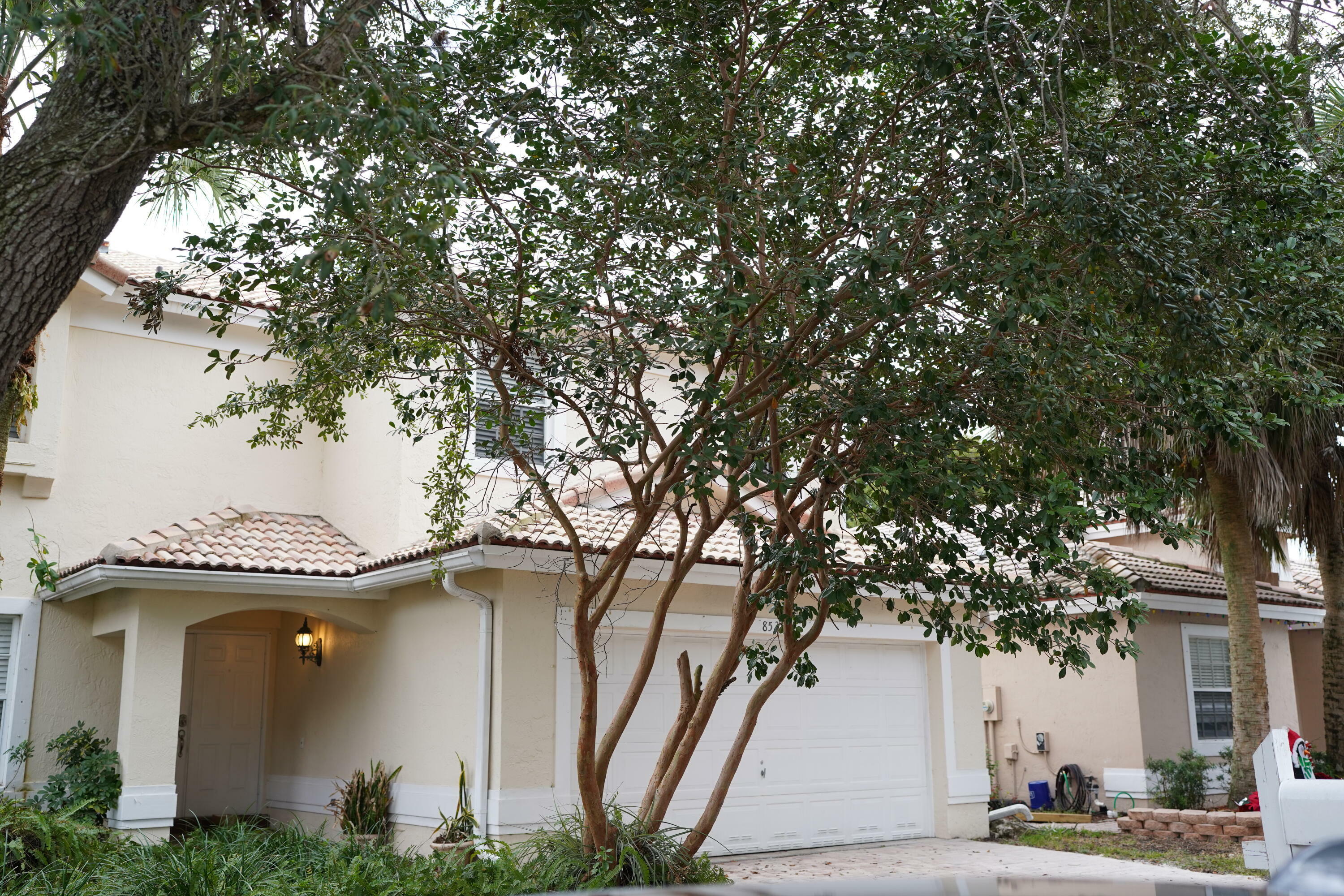 Property Photo:  8539 NW 46th Drive  FL 33067 