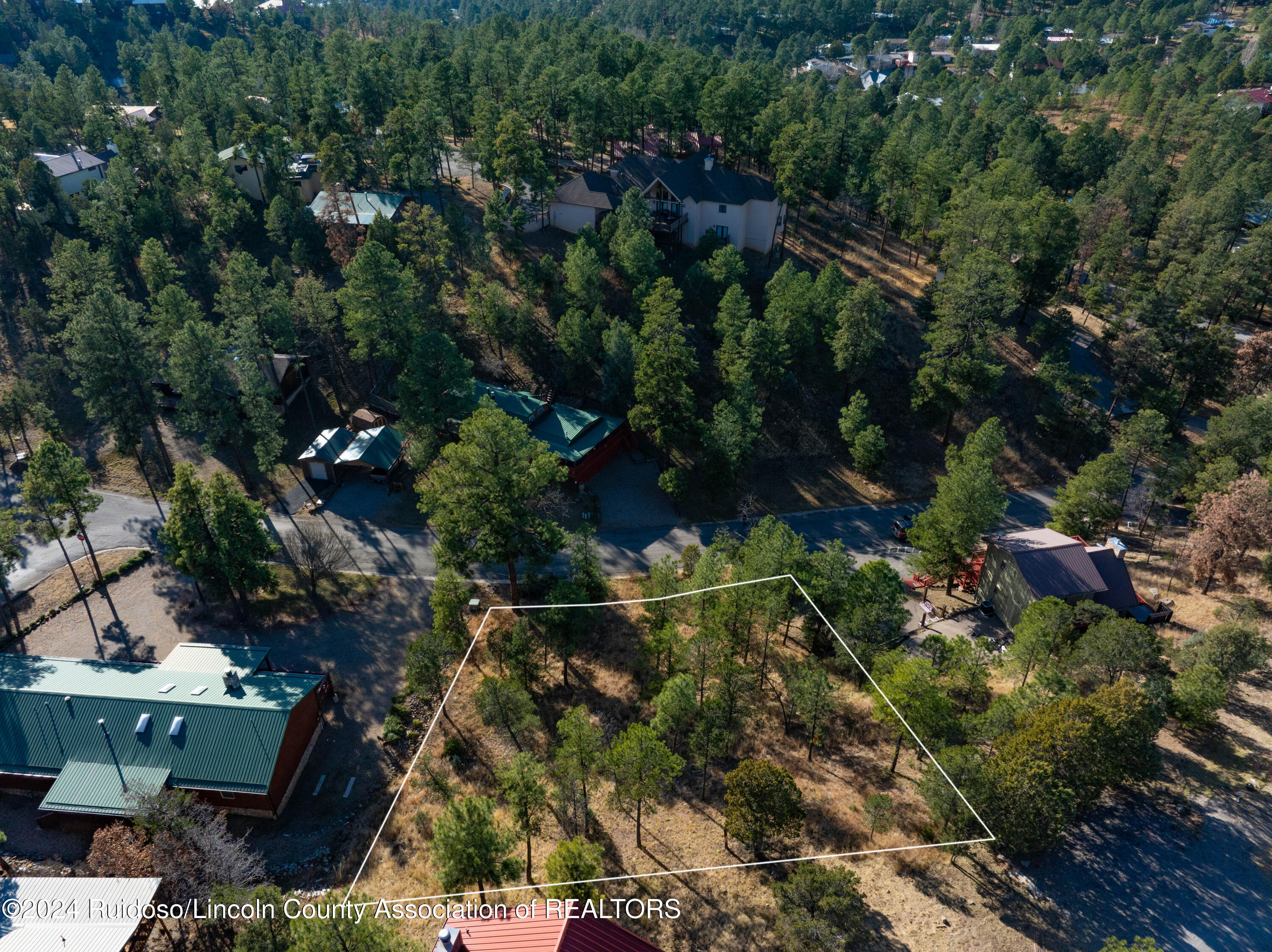 Property Photo:  303 Marble Drive  NM 88345 