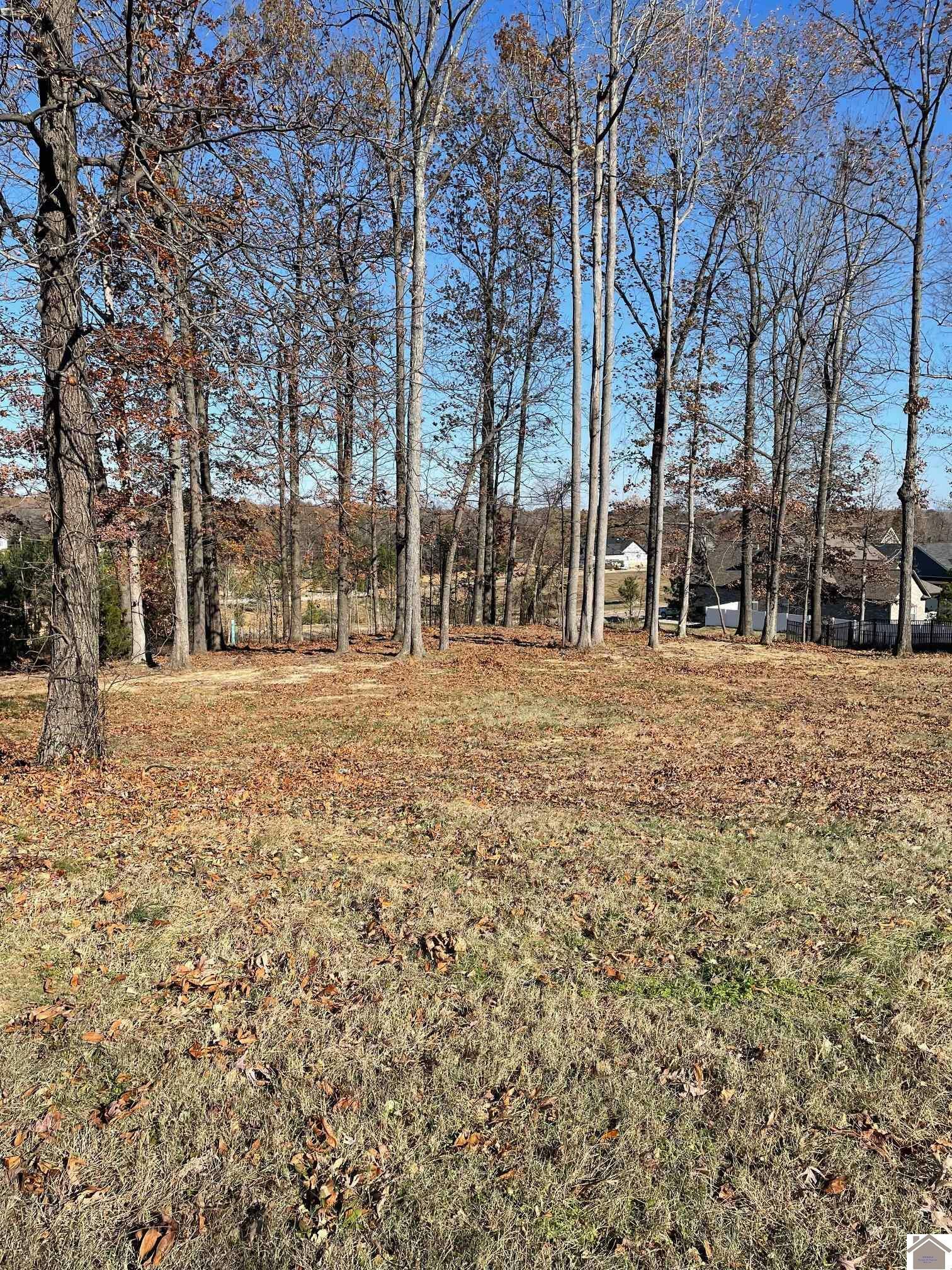 Property Photo:  Lot 95 Forest Ridge Drive  KY 42003 