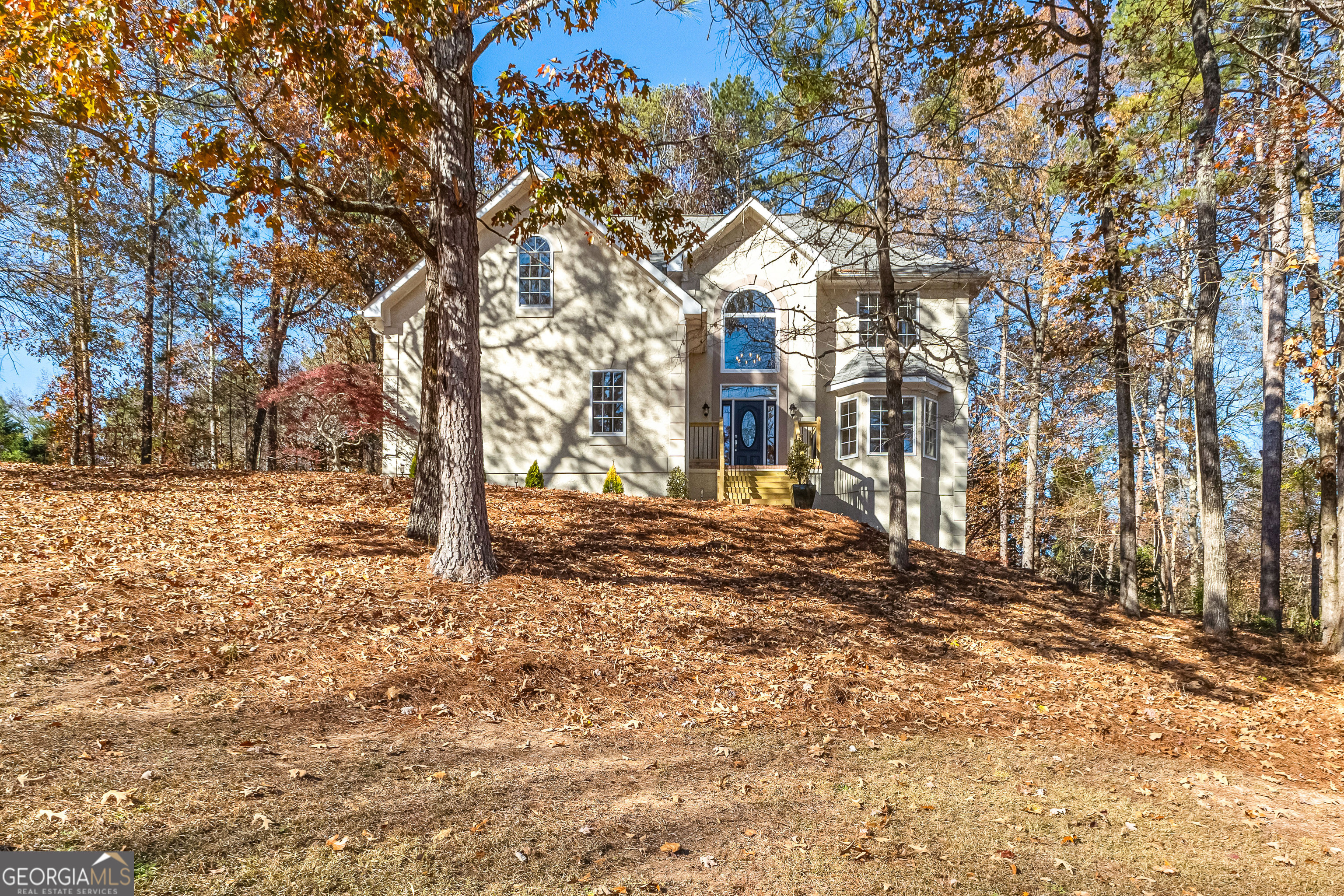 194 Cobblestone Cove  Sharpsburg GA 30277 photo