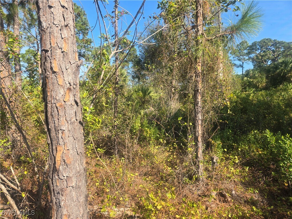 Property Photo: 711 Giorgio Avenue S FL 33974