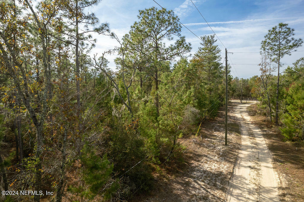 Property Photo:  5385 Golden Oak Lane  FL 32656 