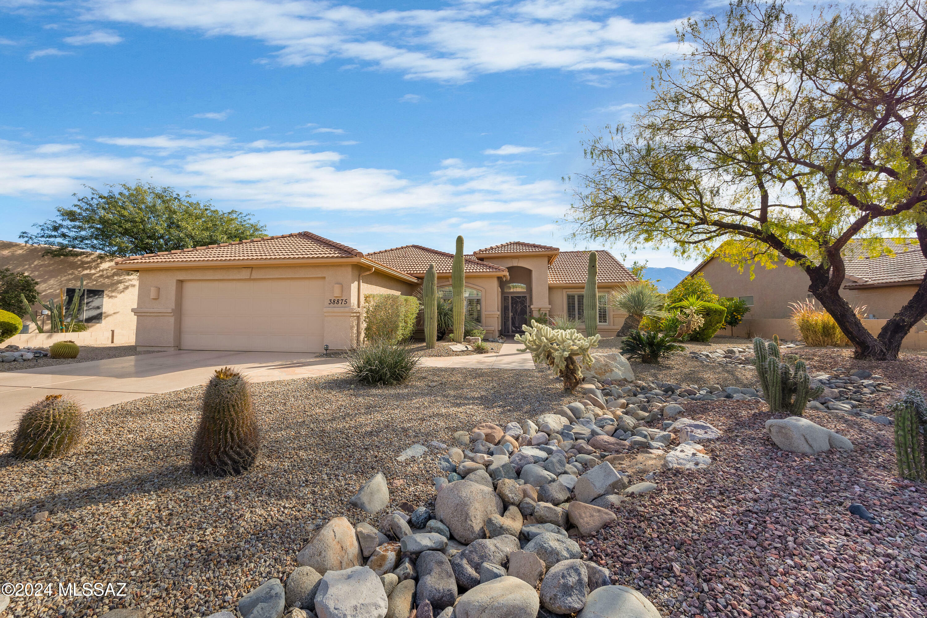 Property Photo:  38875 S Moonwood Drive  AZ 85739 