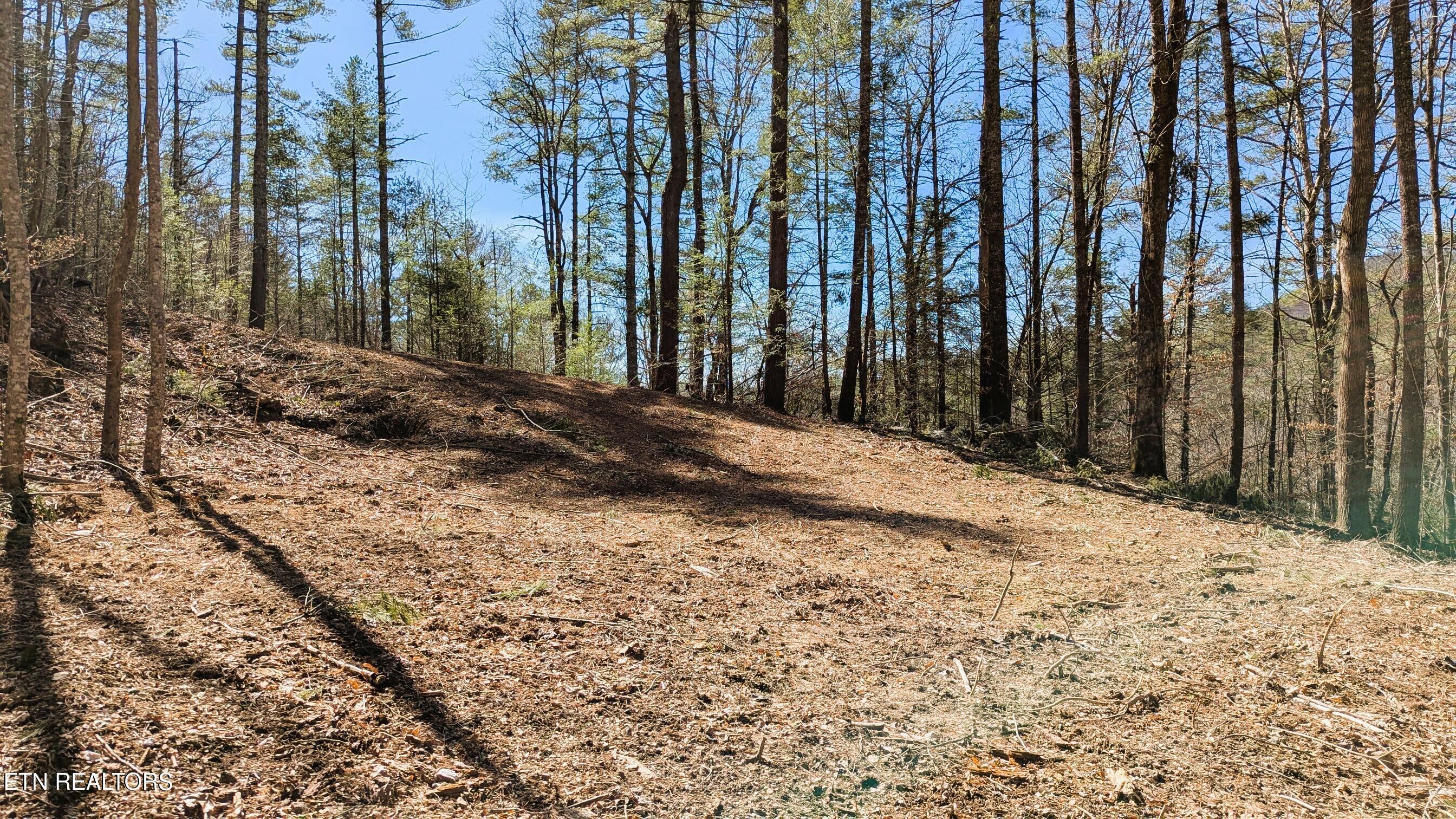 Property Photo: Carrs Creek 14 Acres Rd TN 37882