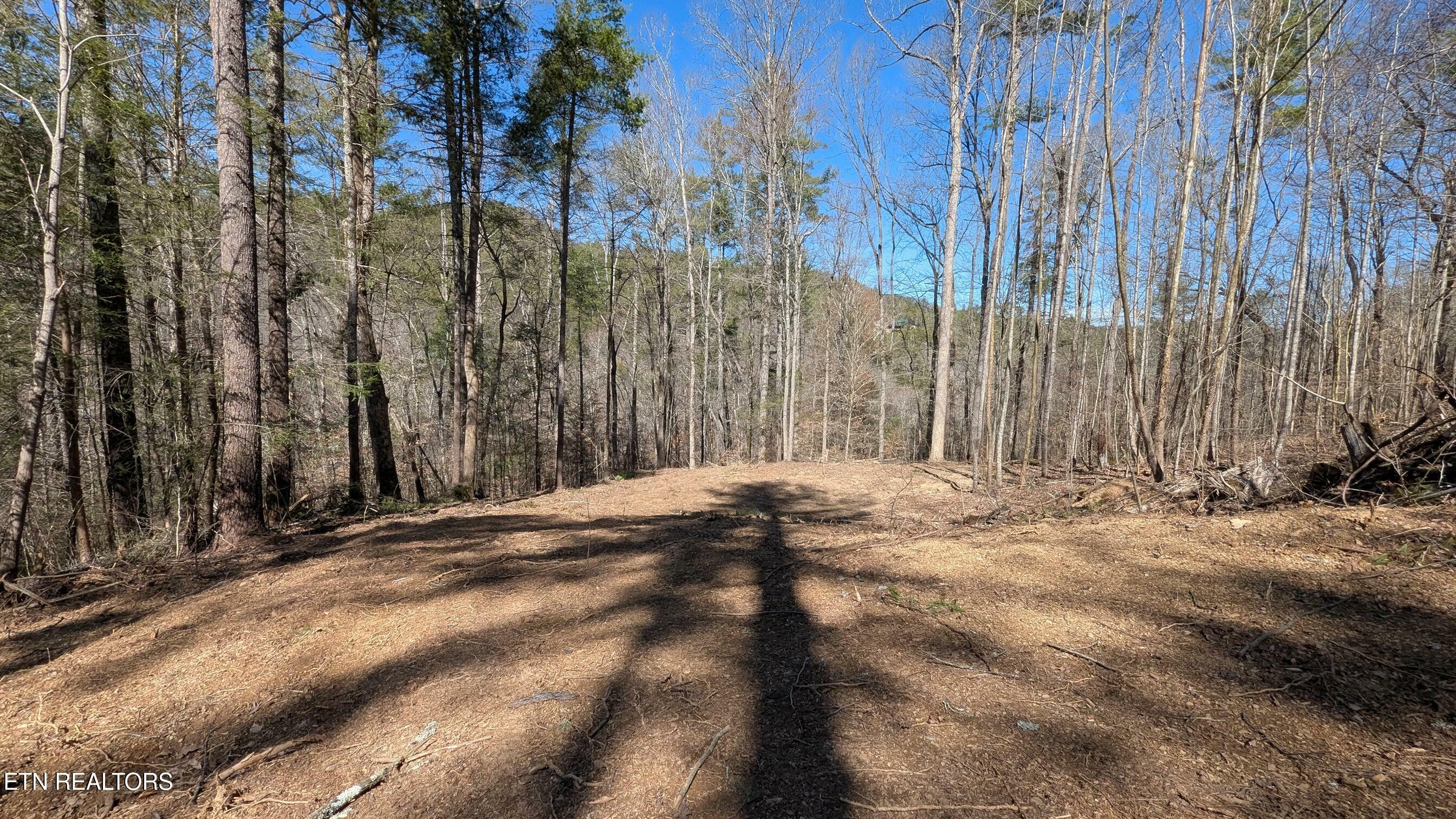 Property Photo:  Carrs Creek Rd  TN 37882 