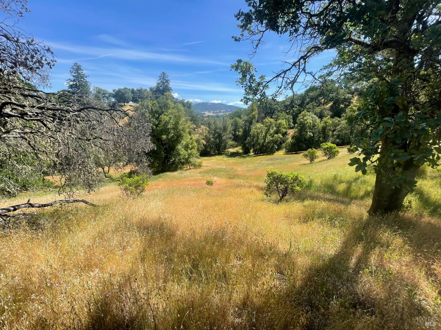 Property Photo: 28365 Old Redwood Highway CA 95425