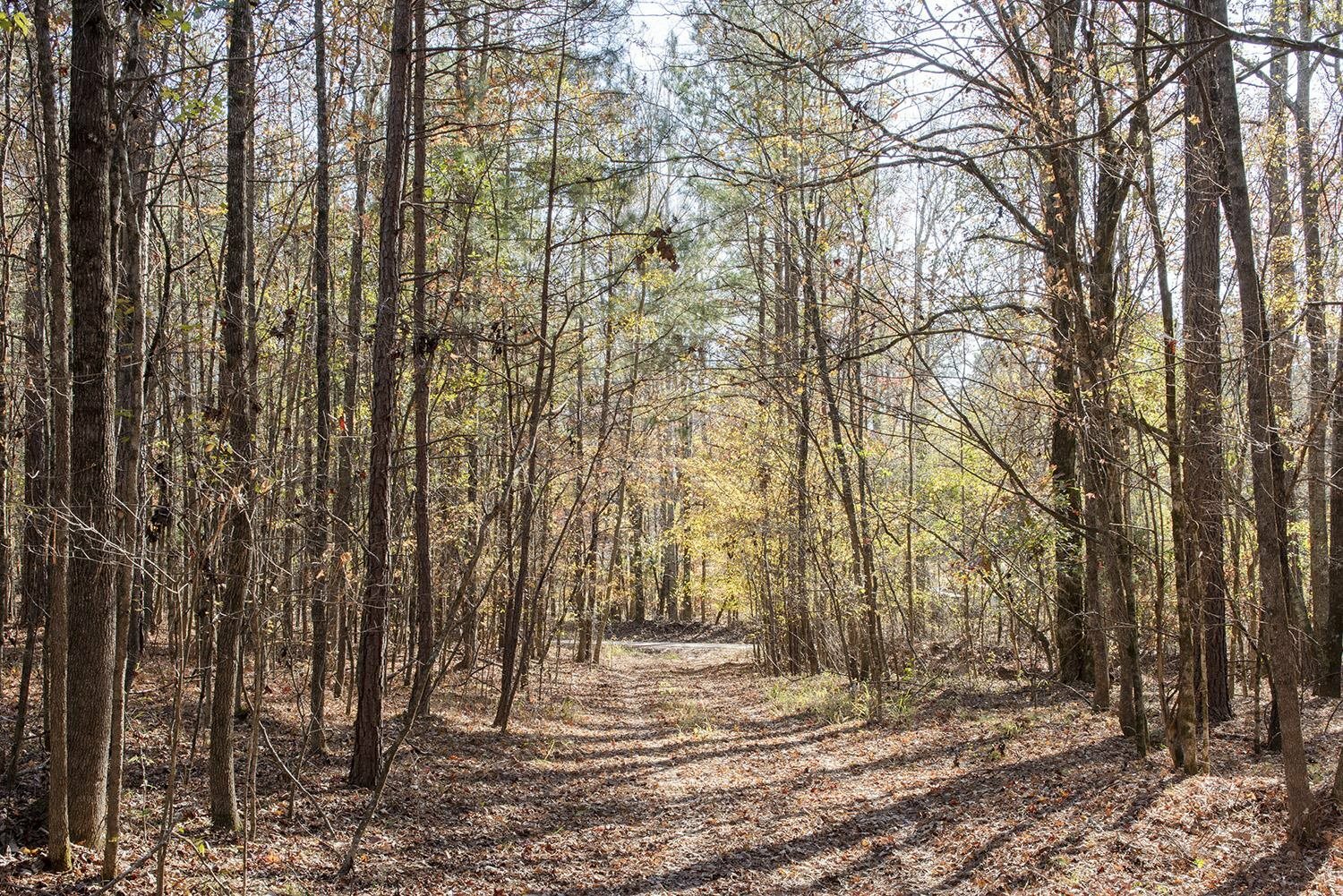 Property Photo:  10ac Cunningham Road  GA 30642-0000 