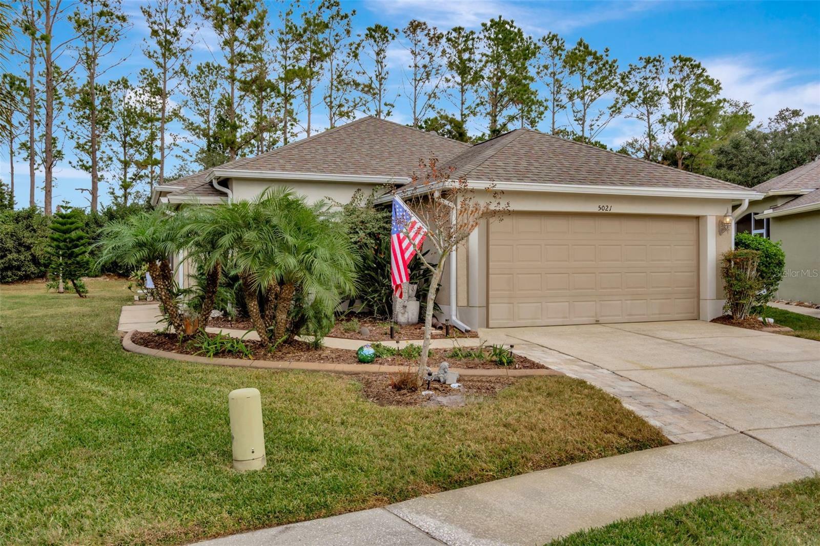 5021 Gato Del Sol Circle  Wesley Chapel FL 33544 photo