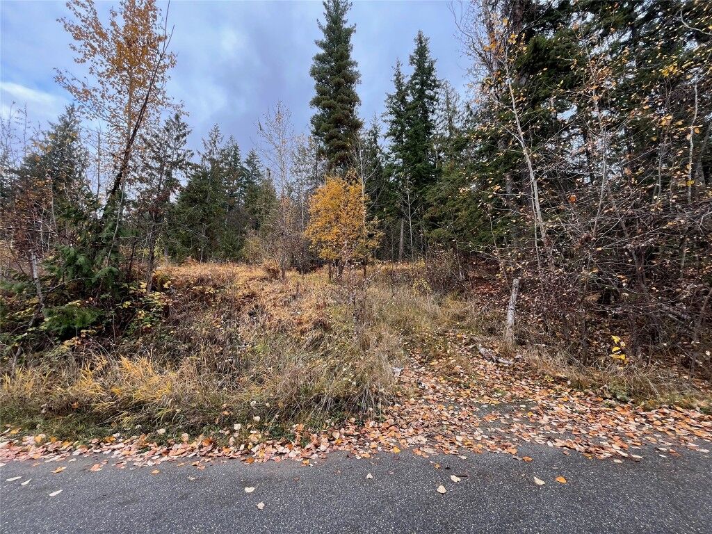 Property Photo:  Lot 150 Anglemont Drive  BC V0E 1M8 