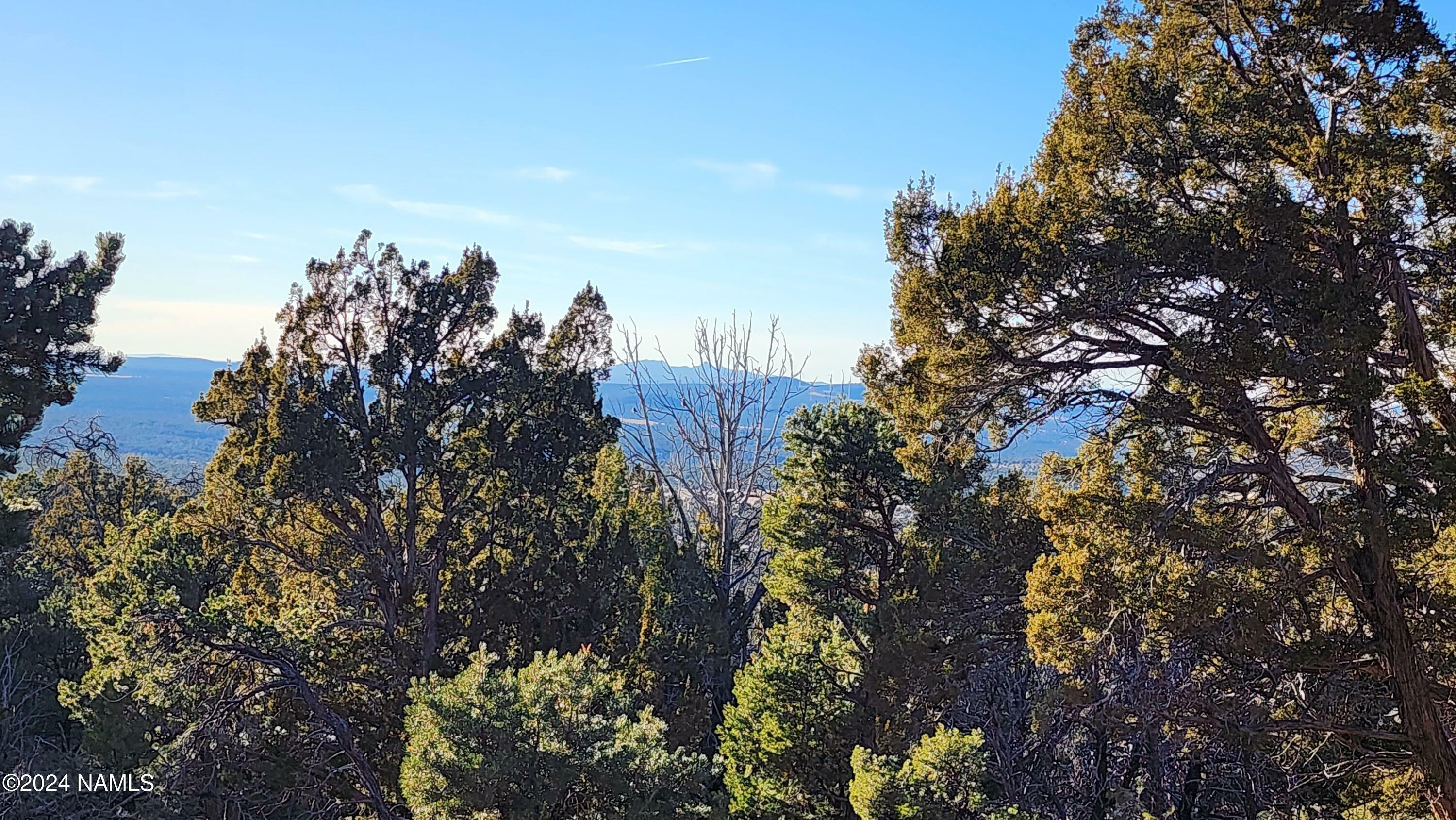 Property Photo:  Parcel # 20202016R  AZ 86046 