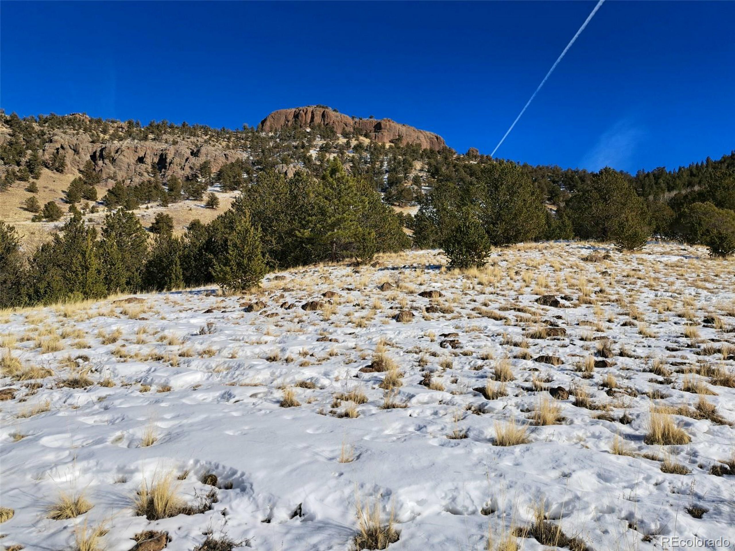 Property Photo:  0 Castle Mountain Pass  CO 80820 