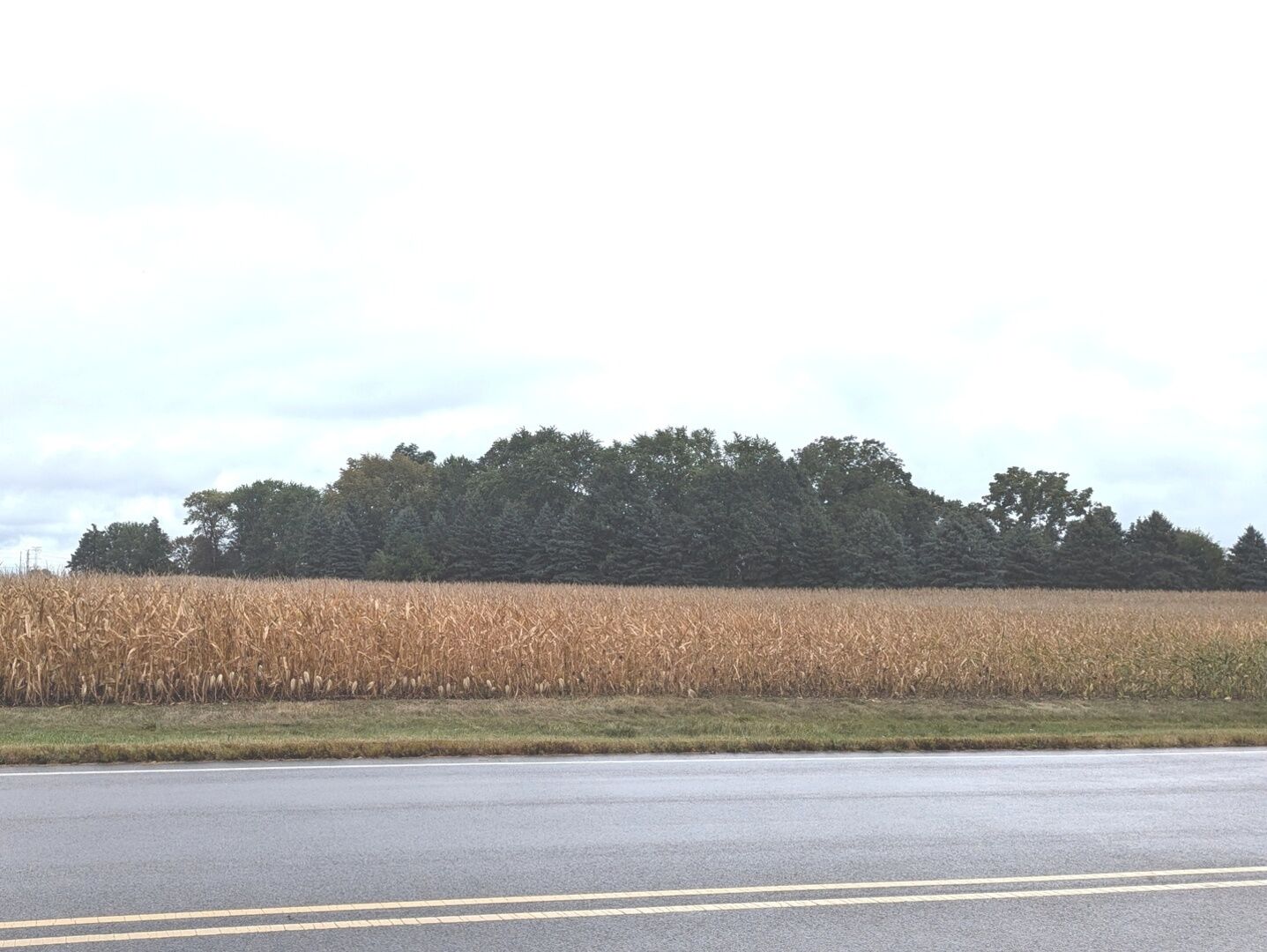 Property Photo: 6.63 Acres Denny Road IL 60554