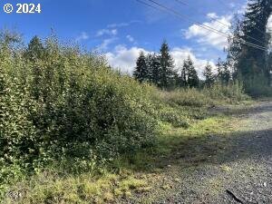 Property Photo: 930 NE Highway 20 OR 97391