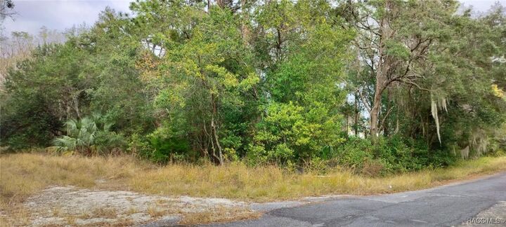 Property Photo: 965 S Sally Terrace FL 34452