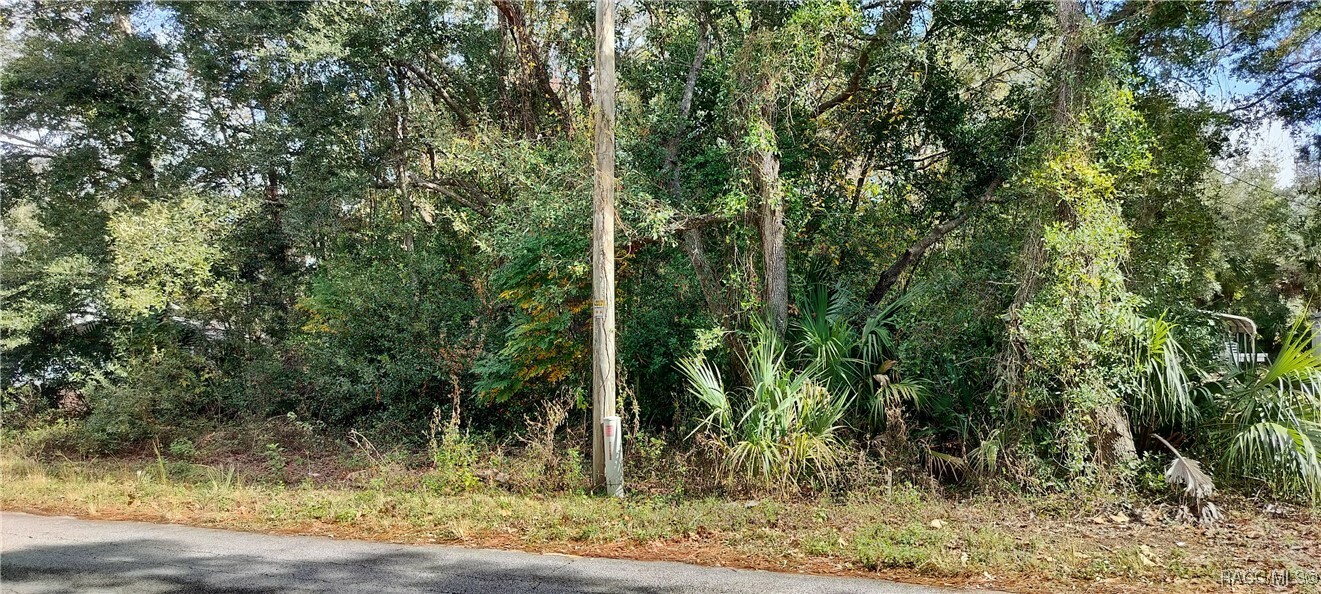 Property Photo:  973 N Maynard Avenue  FL 34461 