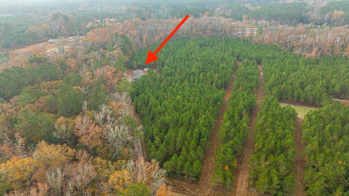 588 Rhode Drive  Cottageville SC 29435 photo