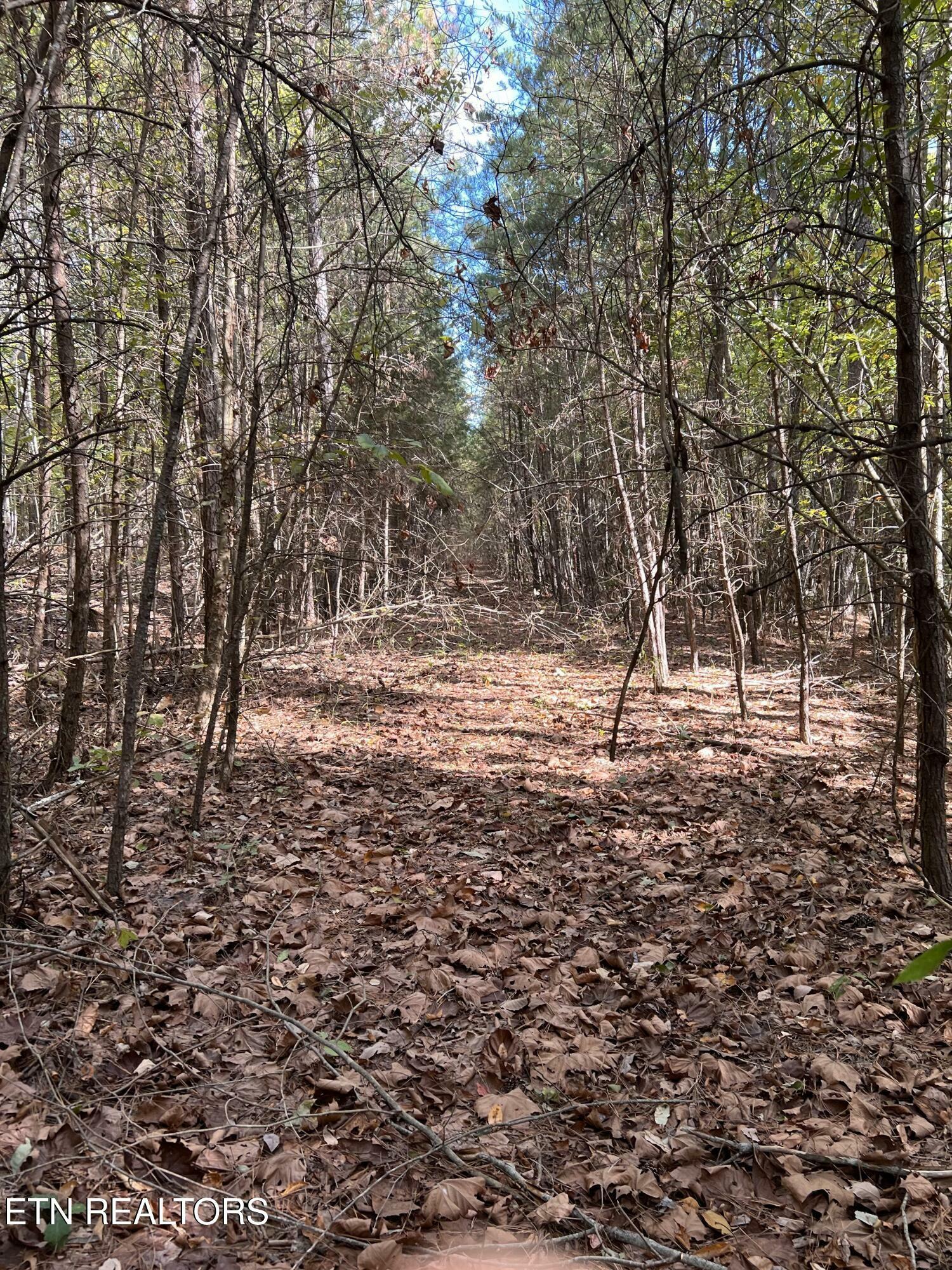 Property Photo:  Blue Sewannee  TN 37367 