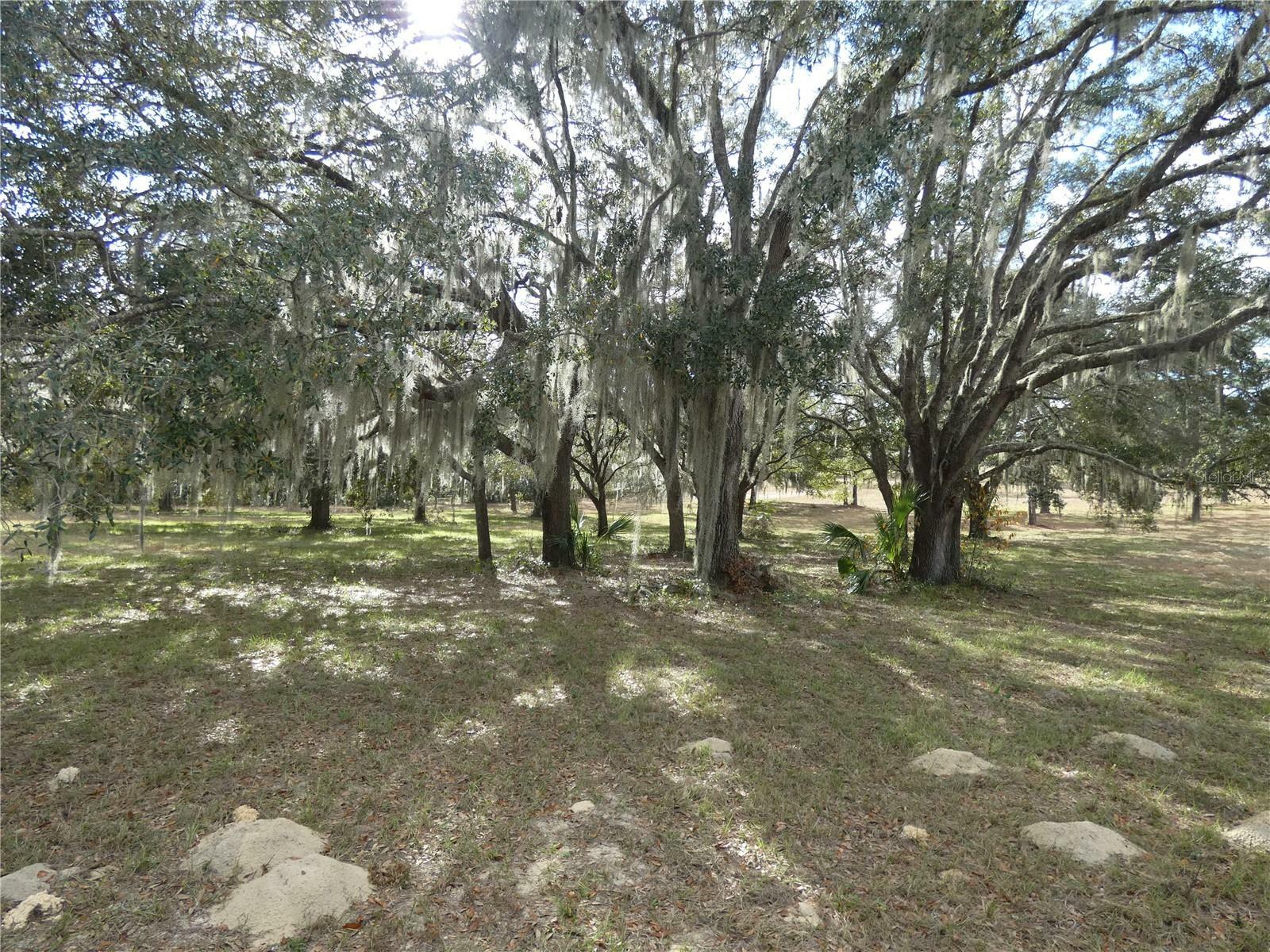 Property Photo:  10887 N Circle M Avenue  FL 34433 