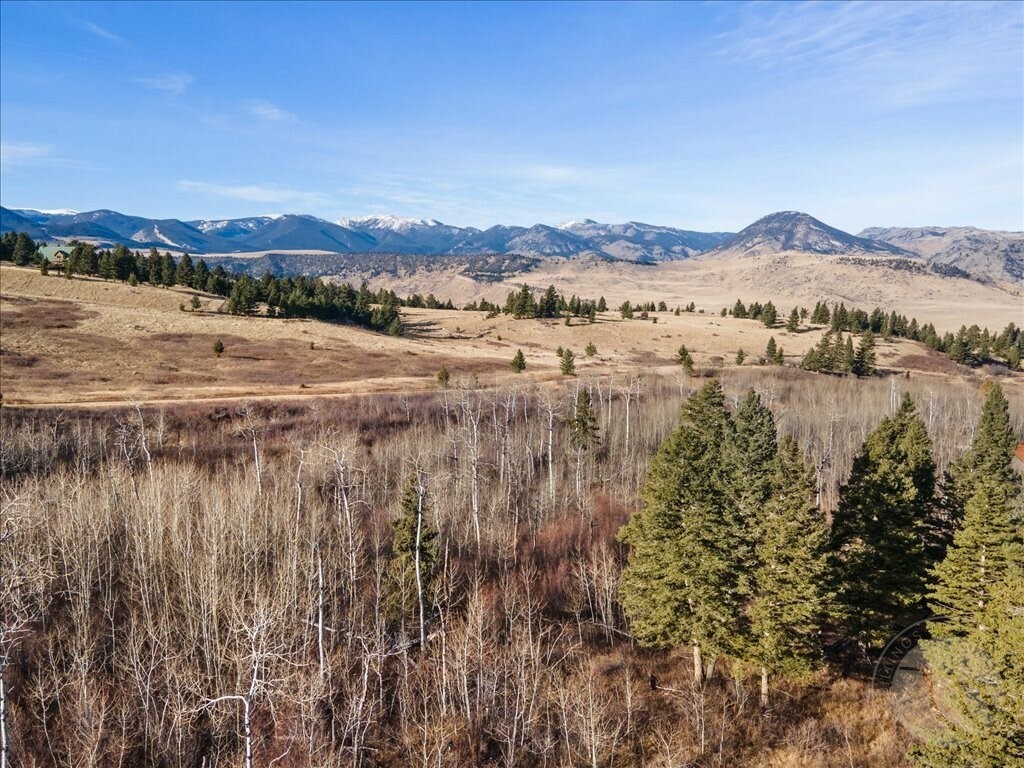 Property Photo:  89 Buffalo Jump Trail  MT 59061 