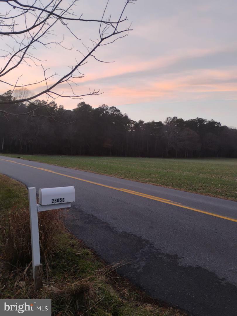 Property Photo:  28056 Carpenter Road  DE 19968 