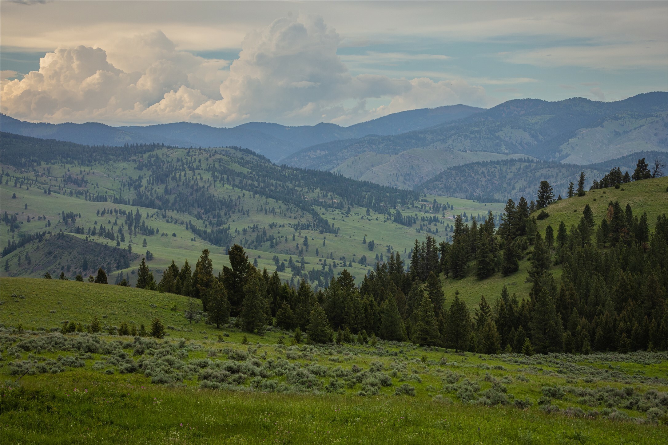 Property Photo:  4 Bull Elk  MT 59832 