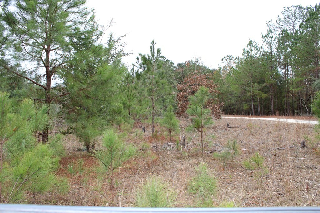 Property Photo:  Bonaparte Trail  SC 29047 