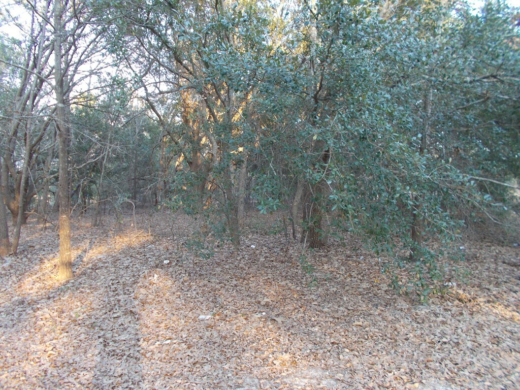 Property Photo:  Bonaparte Trail  SC 29047 