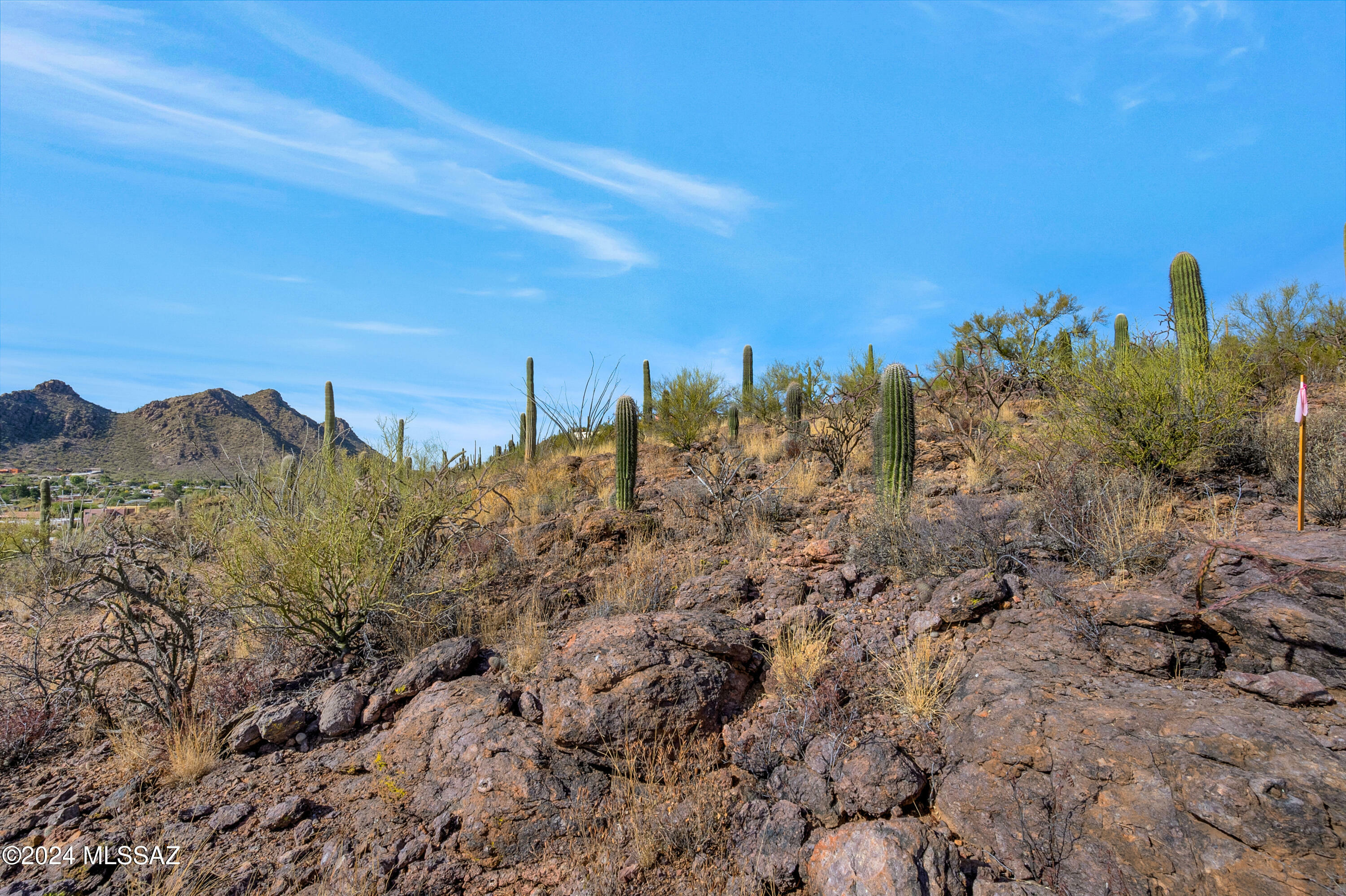 Property Photo:  4896 S Cactus Wren Avenue  AZ 85746 