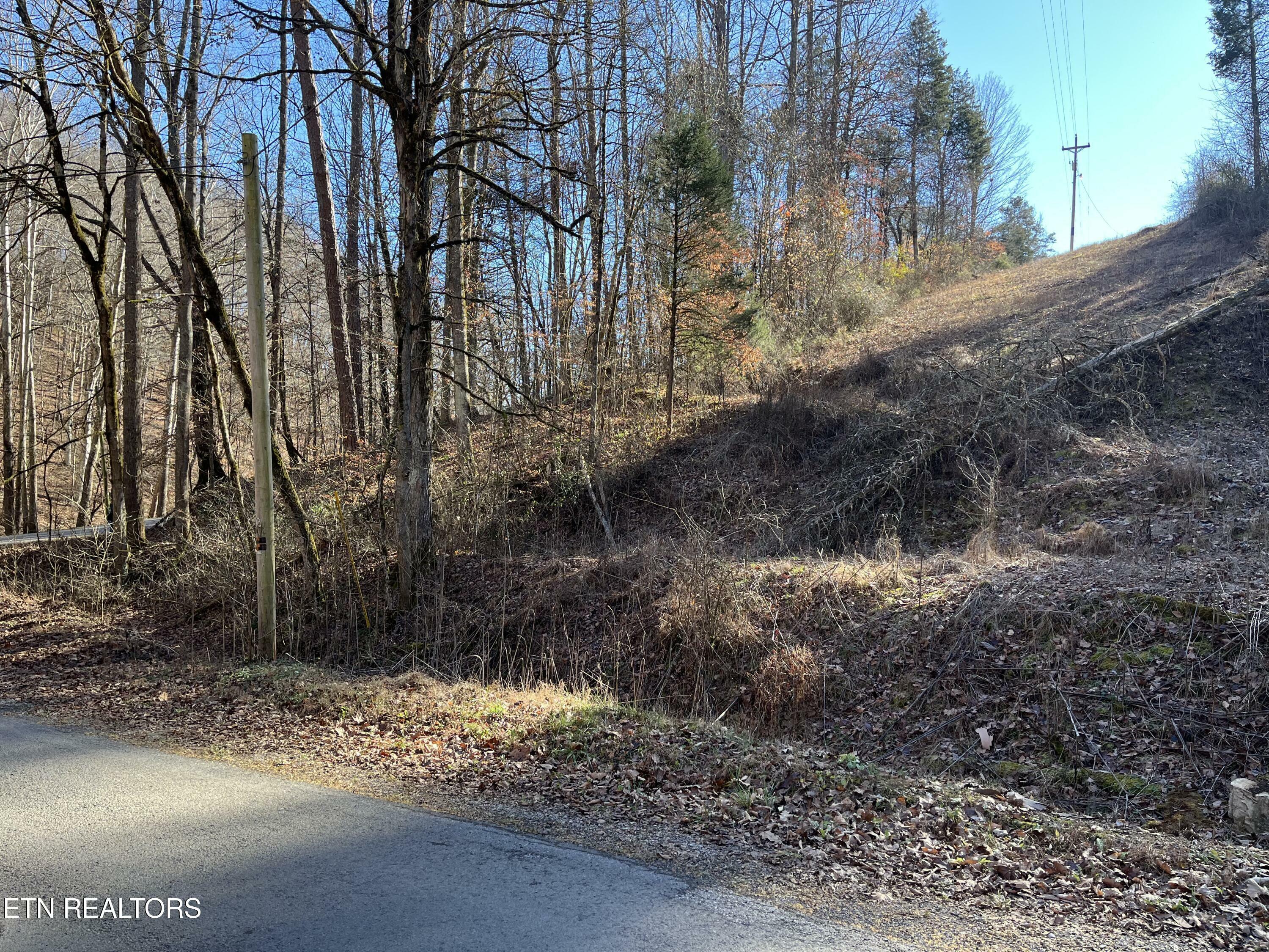 Property Photo:  Shoffner Rd  TN 37866 