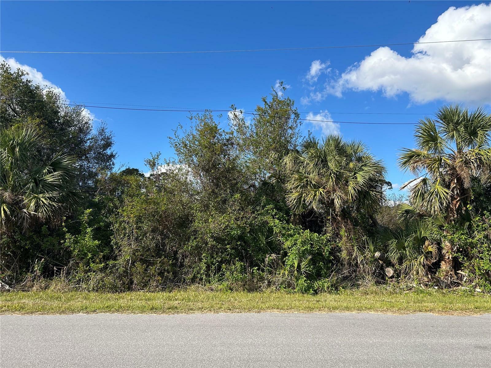 Property Photo:  1147 Longley Drive  FL 33953 