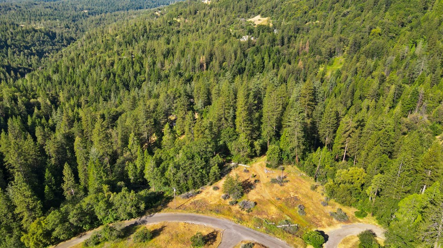 Property Photo:  3340 Meyers Road  CA 95709 