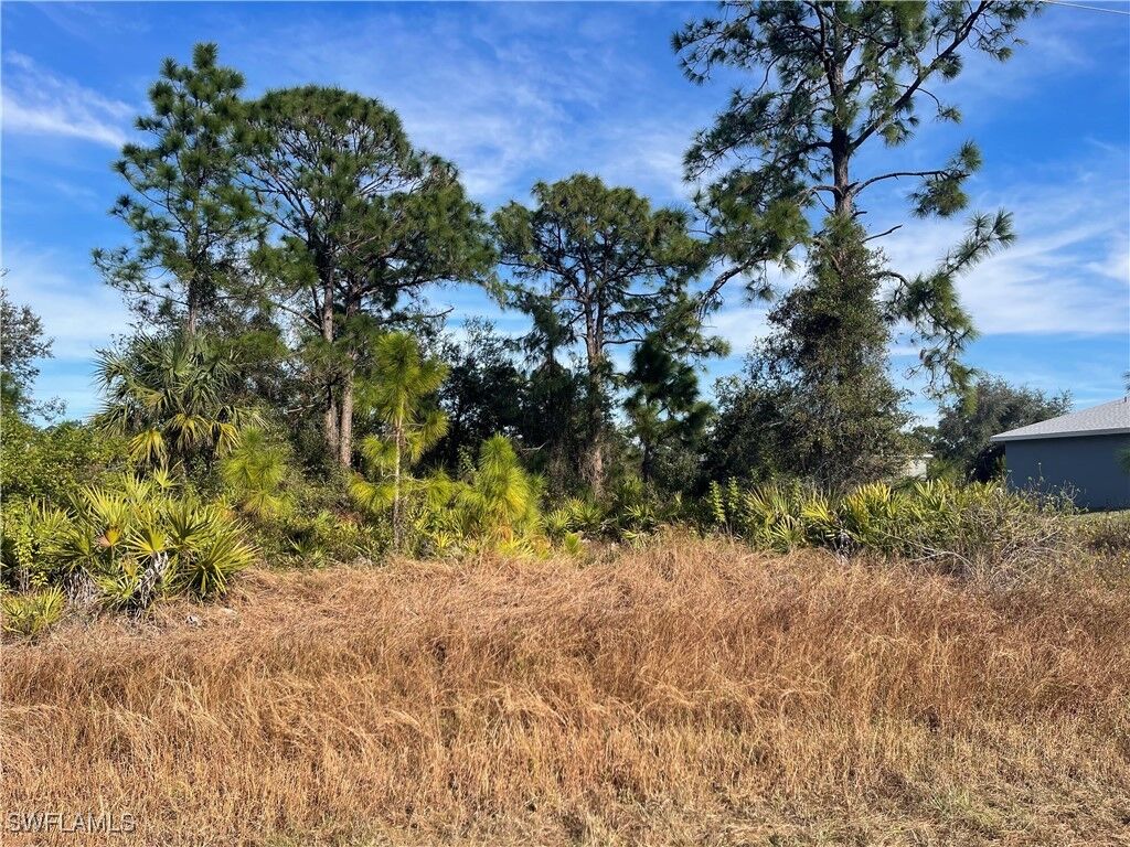 Property Photo: 869 Grant Boulevard FL 33974