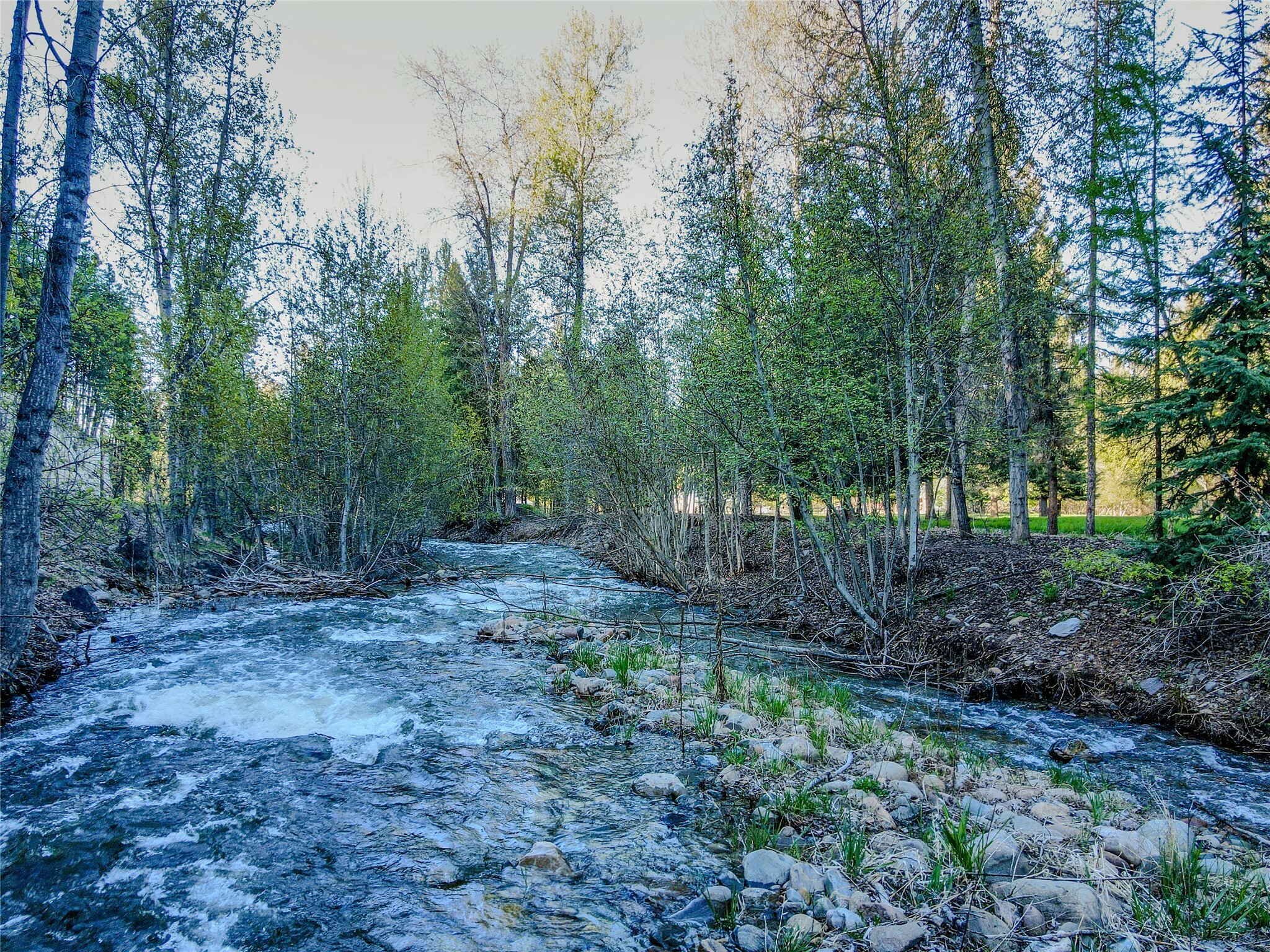 Property Photo: 128 Cedar St Ext MT 59923