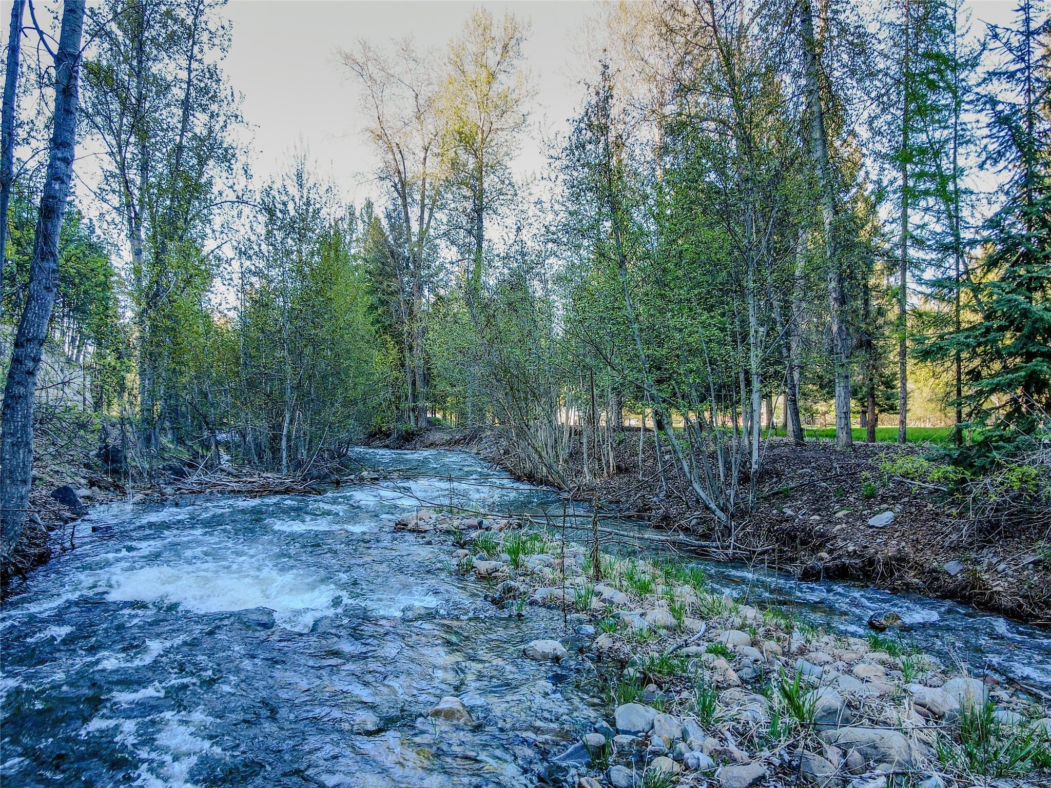 Property Photo: 128 Cedar St Ext MT 59923
