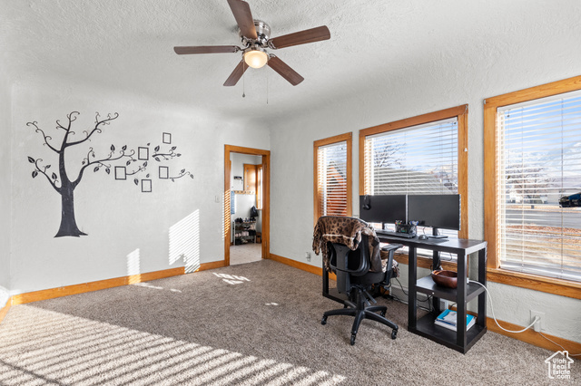 Property Photo: 395 S Main Street St UT 84335