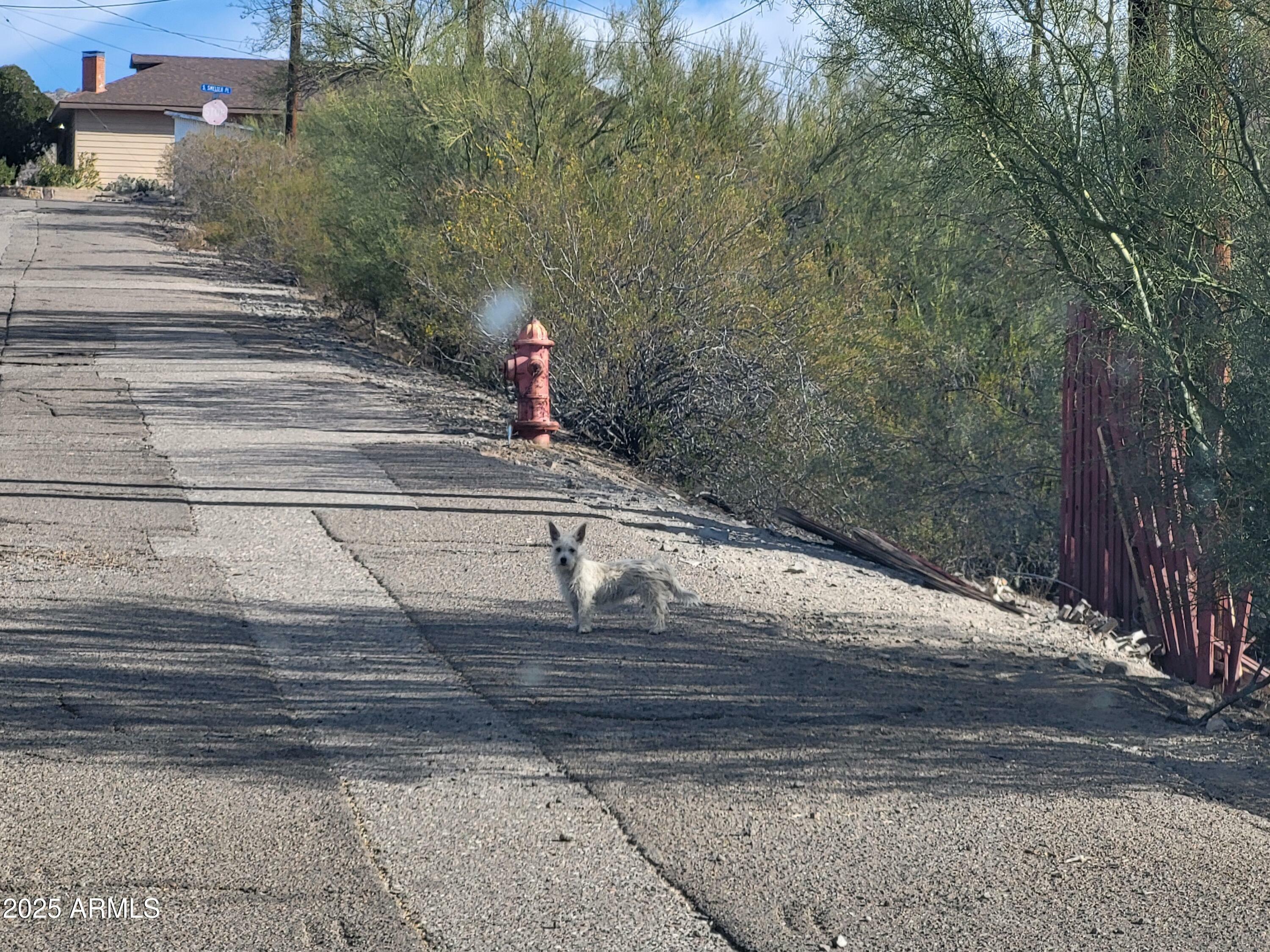 Property Photo:  515 N Sunnyslope Drive  AZ 85135 