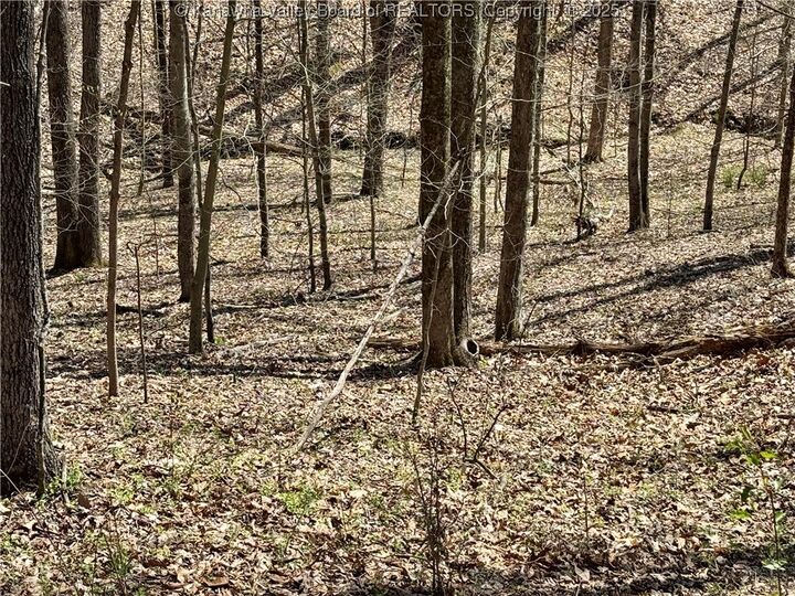 Property Photo: 0 Poplar Estates Drive WV 25560