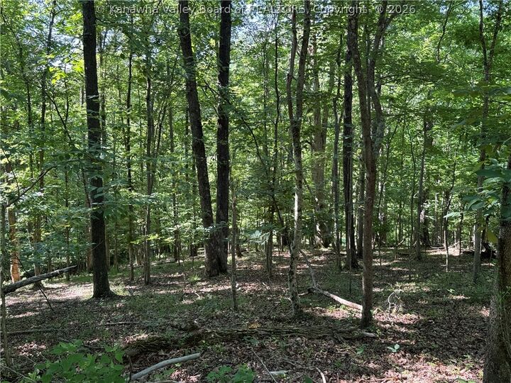 Property Photo:  0 Poplar Estates Drive  WV 25560 