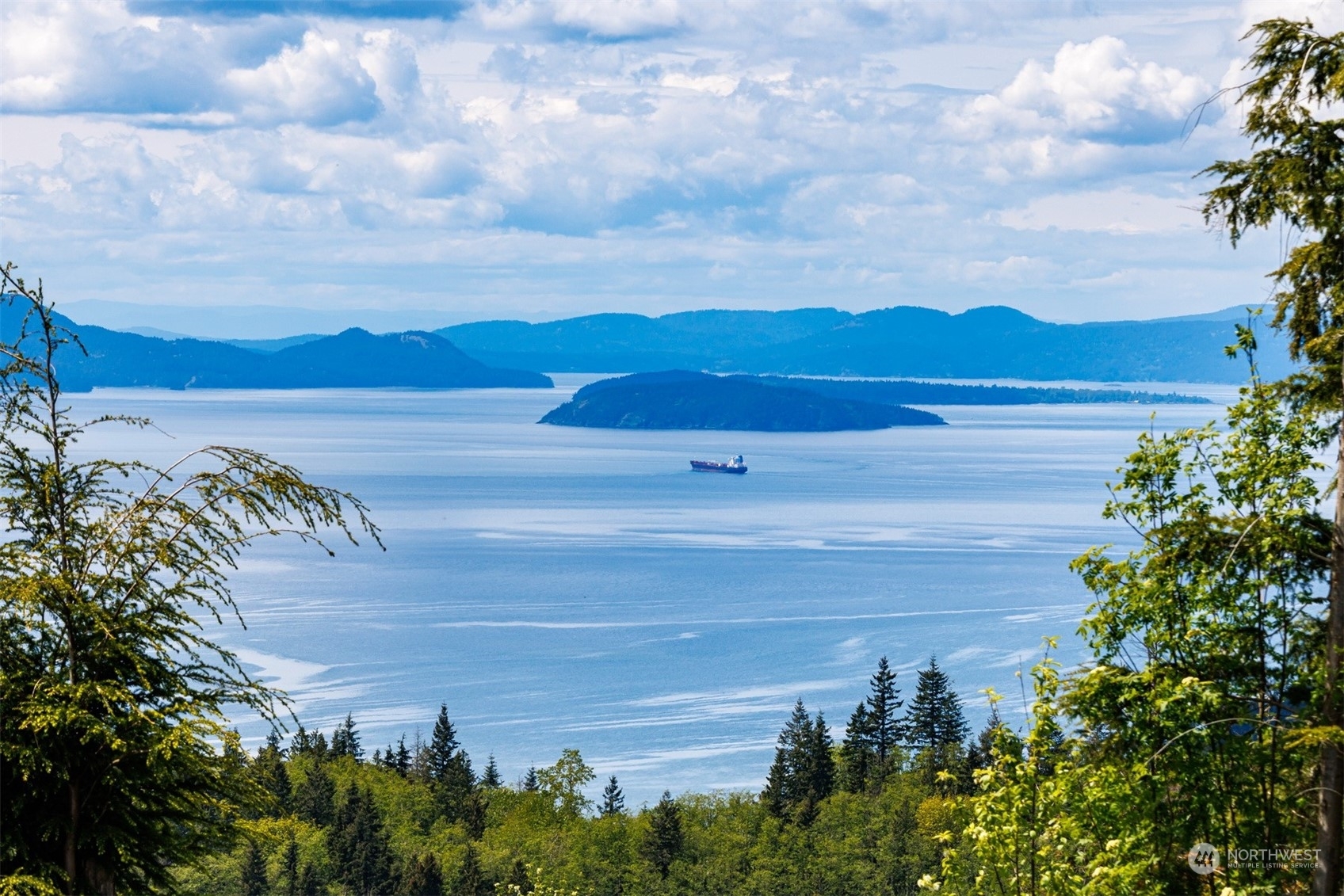 3140  Blanchard Knob Trail  Bow WA 98232 photo