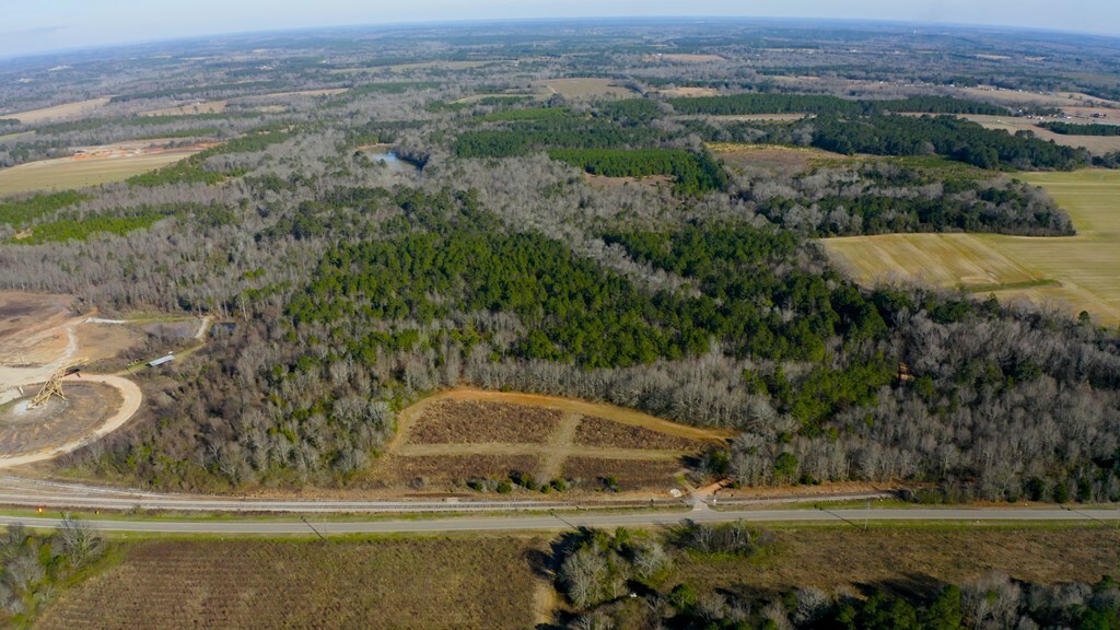 Property Photo:  0 State Highway 173  AL 36310 