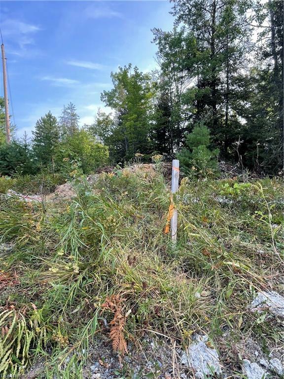 Property Photo: Part Lot 2 Leduc Road ON P0H 1M0