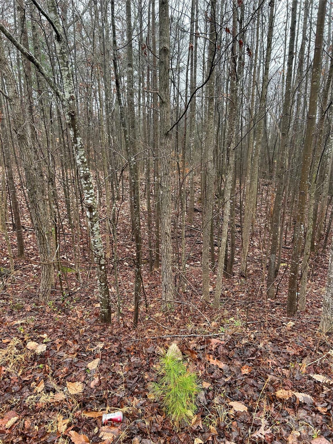 Property Photo:  Lot 14 Willow Ridge Road  NC 28092 