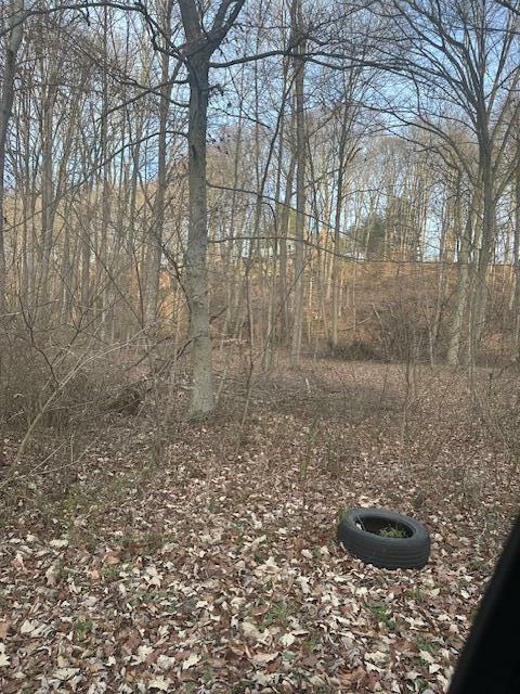 Property Photo: 0 Lemaster Road OH 45701