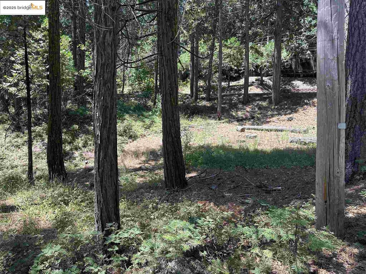 Property Photo: 25391 Rebekah Rd CA 95335