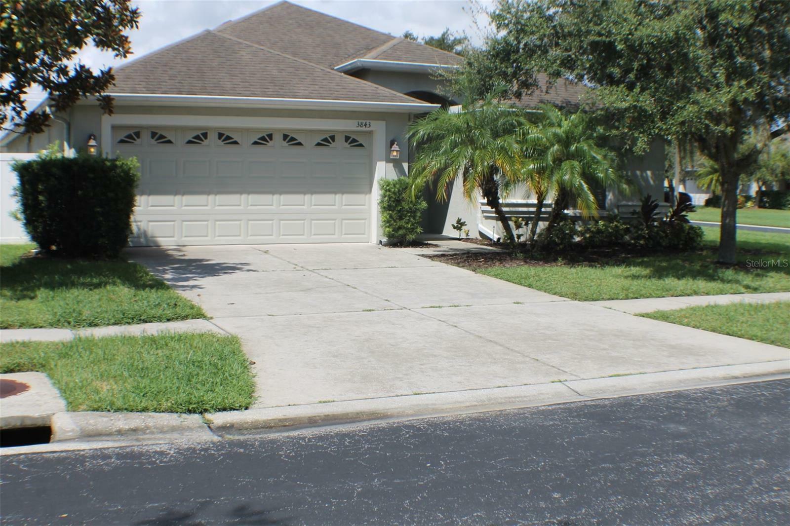 Property Photo:  3843 Langdrum Drive  FL 33543 