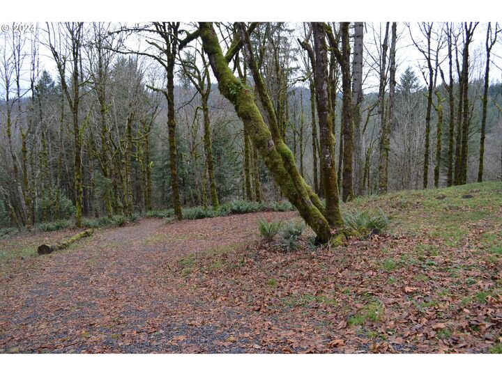 Property Photo: NE 380th Ave WA 98671