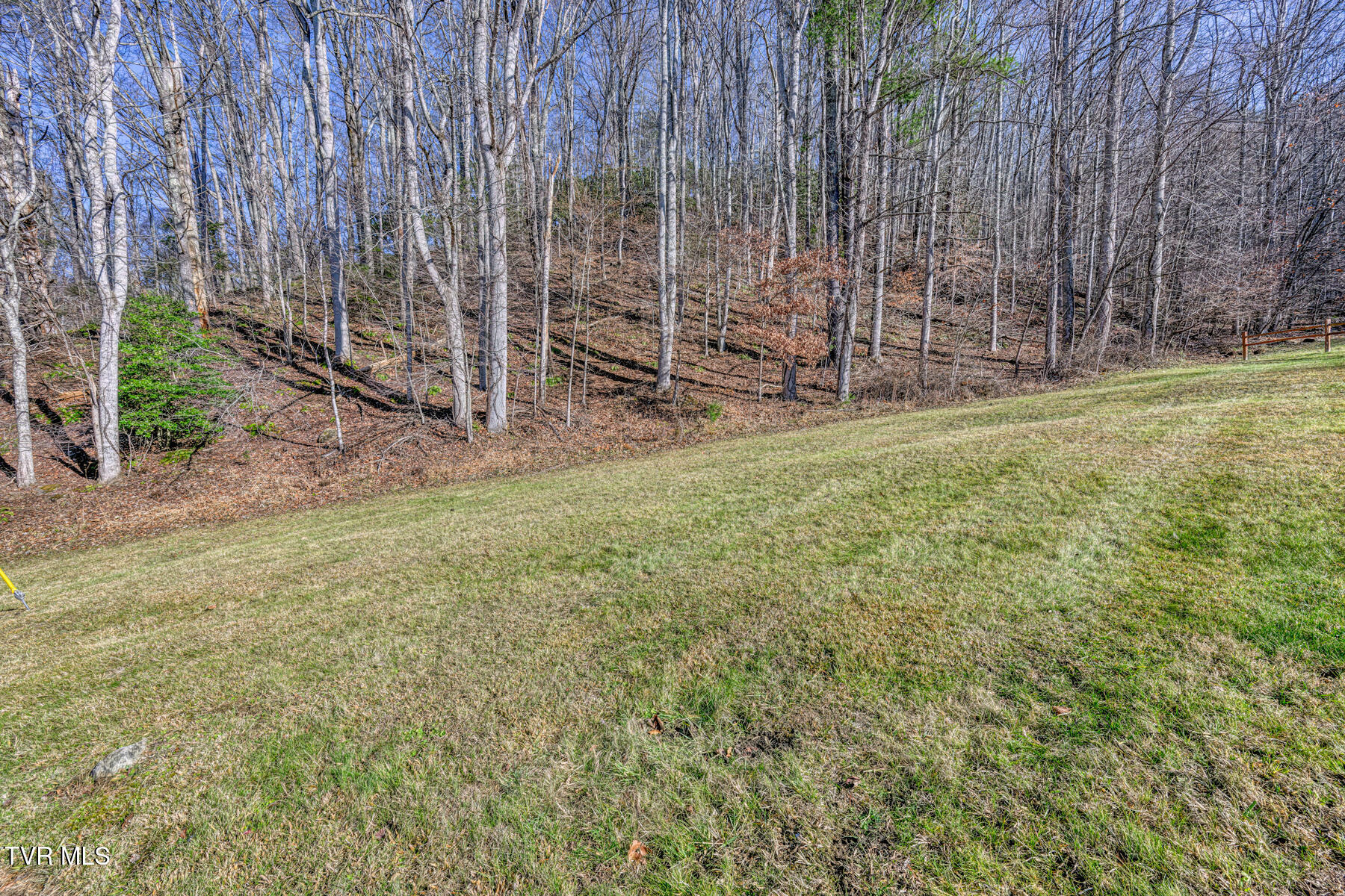 Property Photo: 117 Buckner Drive TN 37687